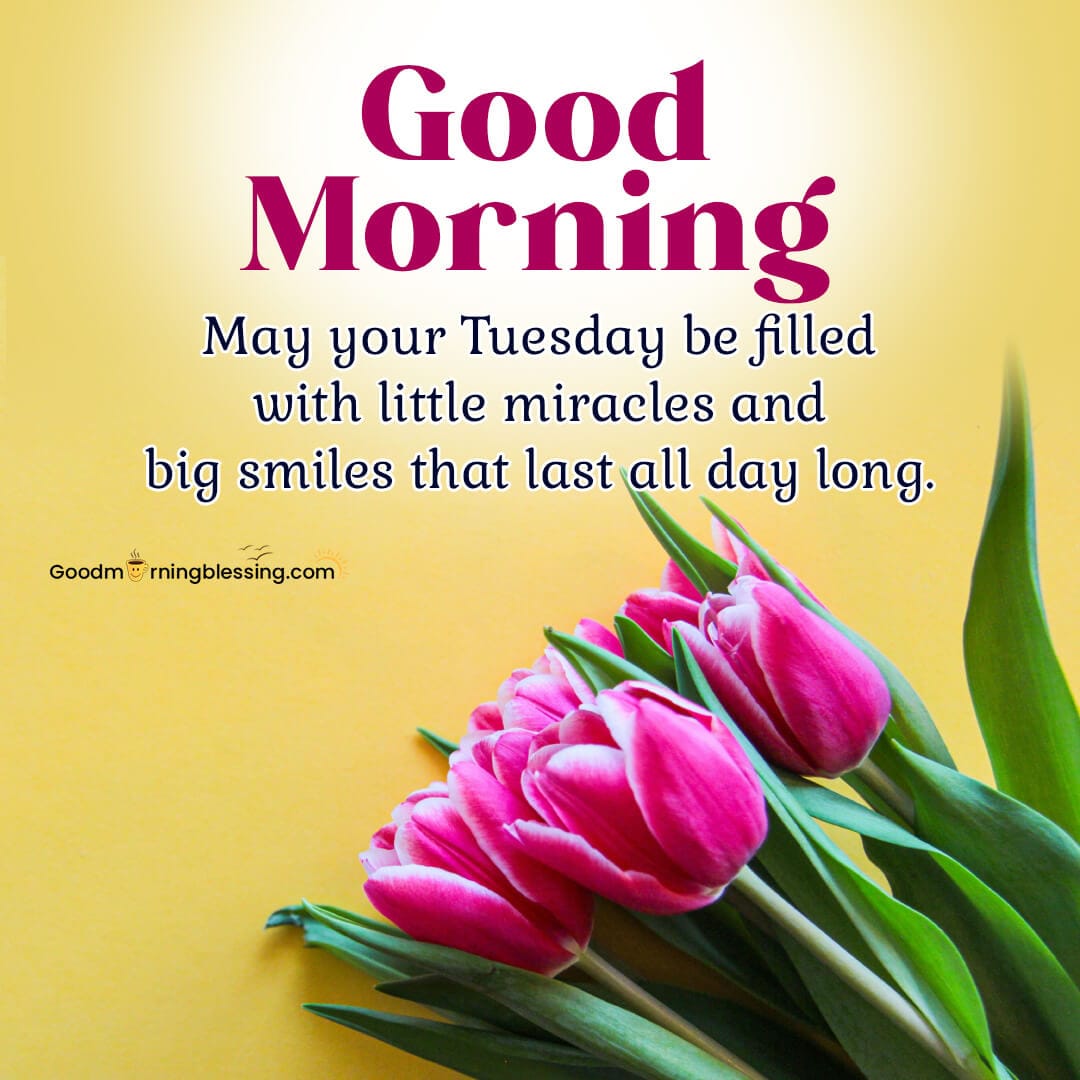 Good Morning Tuesday Blessings And Quotes Images Gif