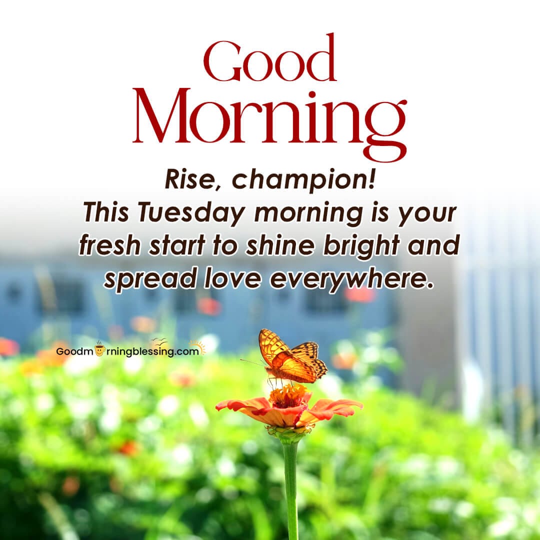 Positive Good Morning Tuesday Blessings