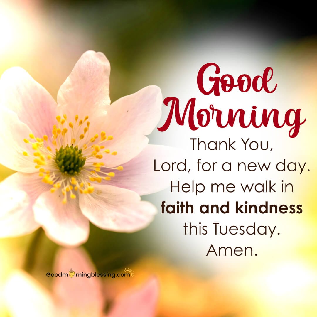 Tuesday Good Morning Wishes And Prayer Latest
