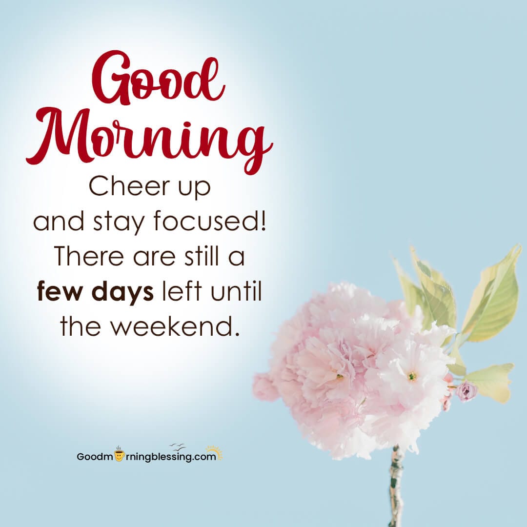 Wisdom Good Morning Wednesday Inspirational Quotes