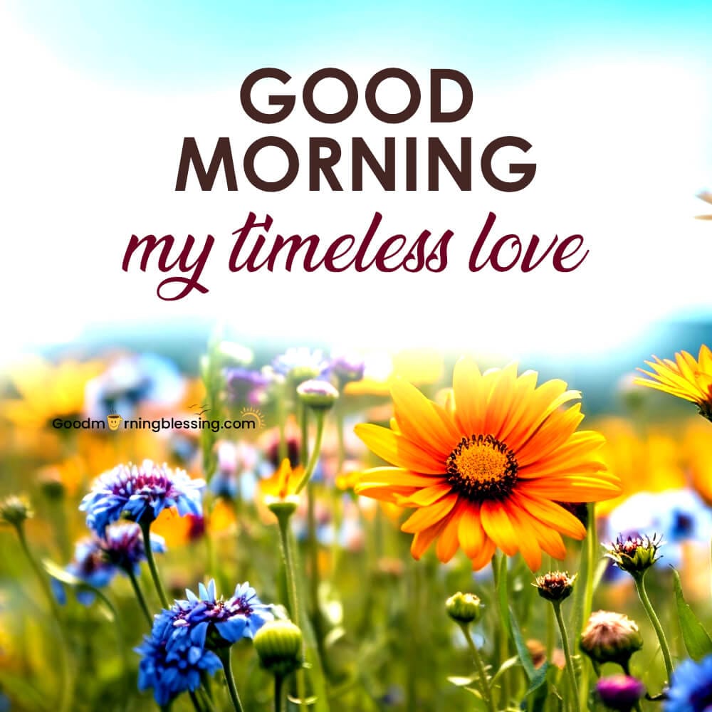 Amazing Nature Good Morning Images​