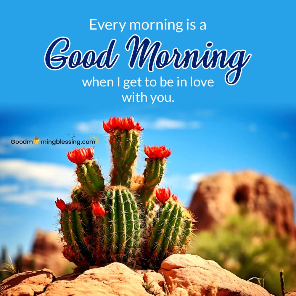 Beautiful Nature Good Morning Images​