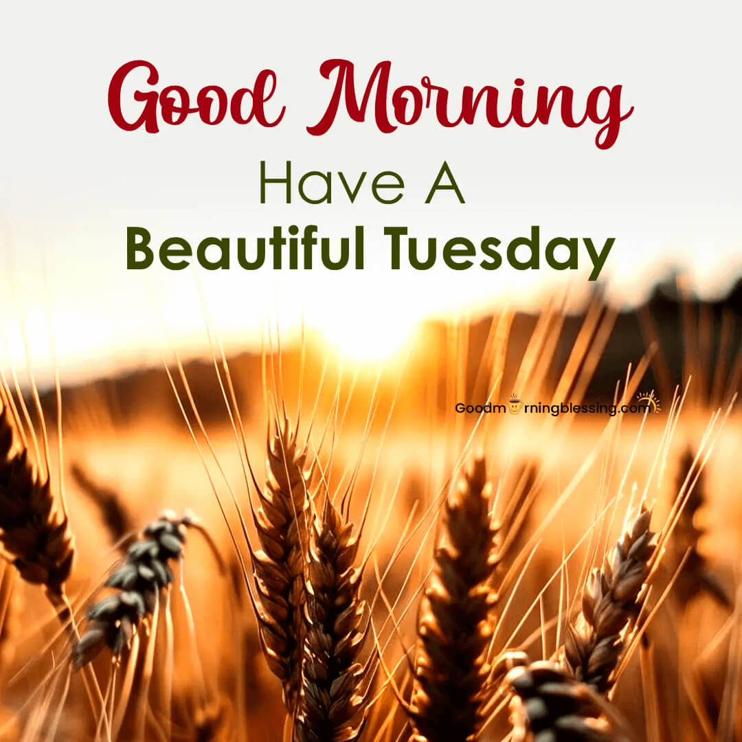 Blessing Good Morning Tuesday
