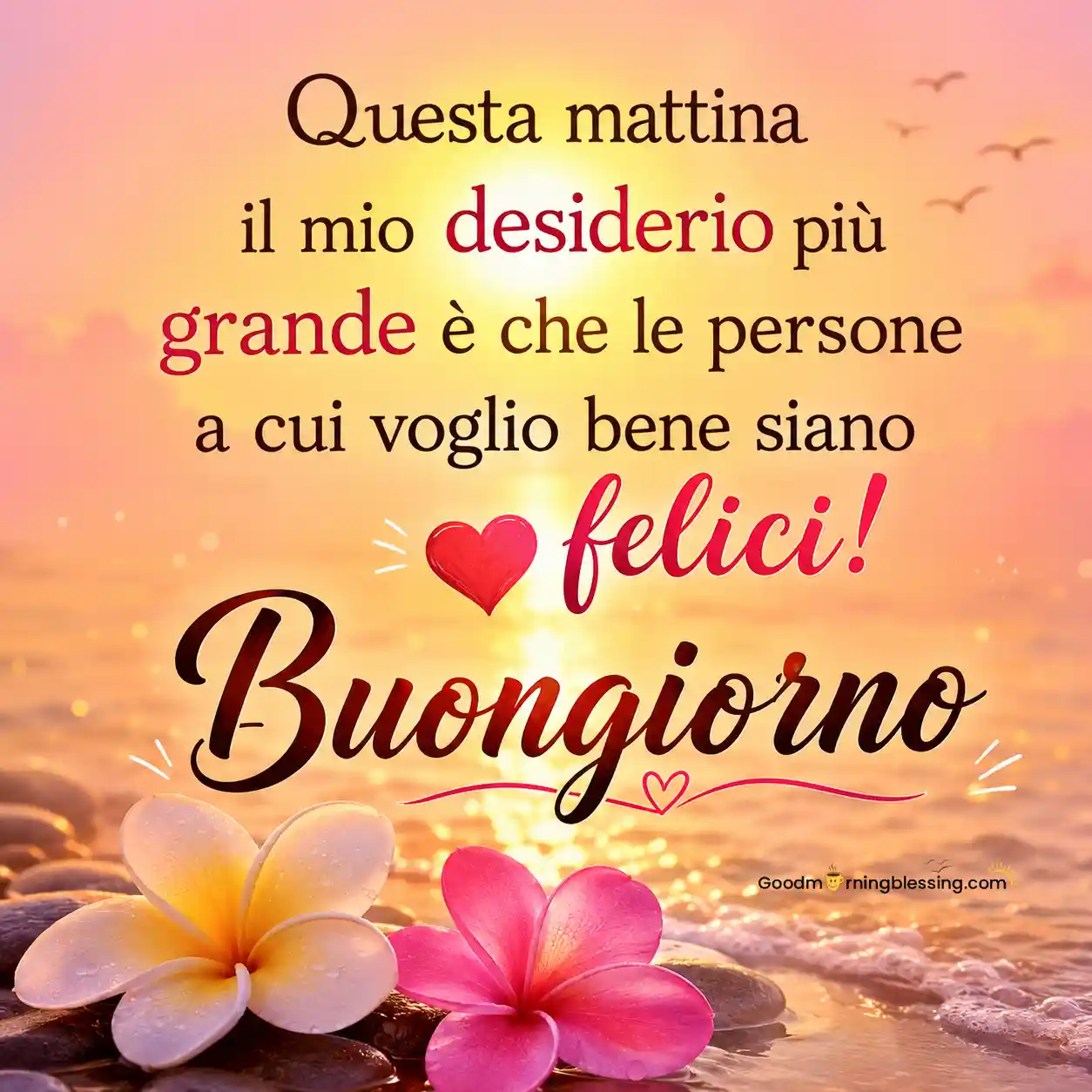 Buongiorno Desiderio Di Felicita