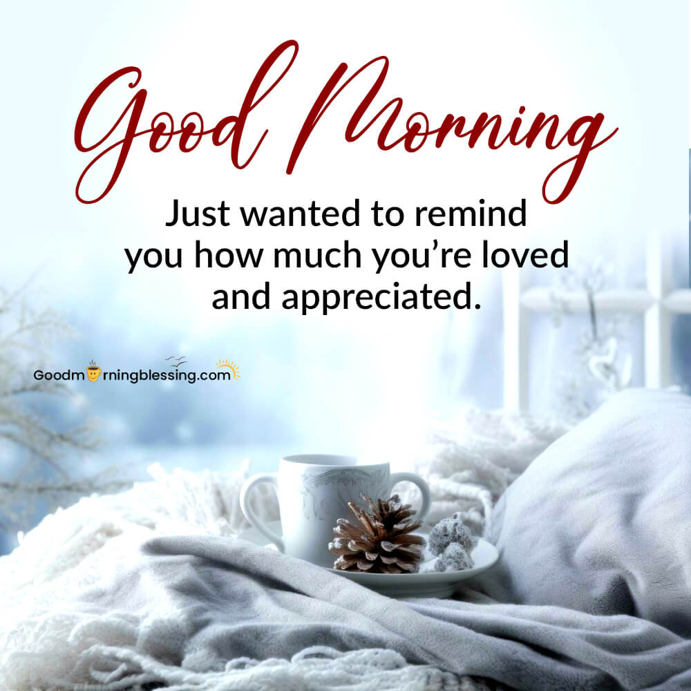 Casserole Cozy Good Morning America​