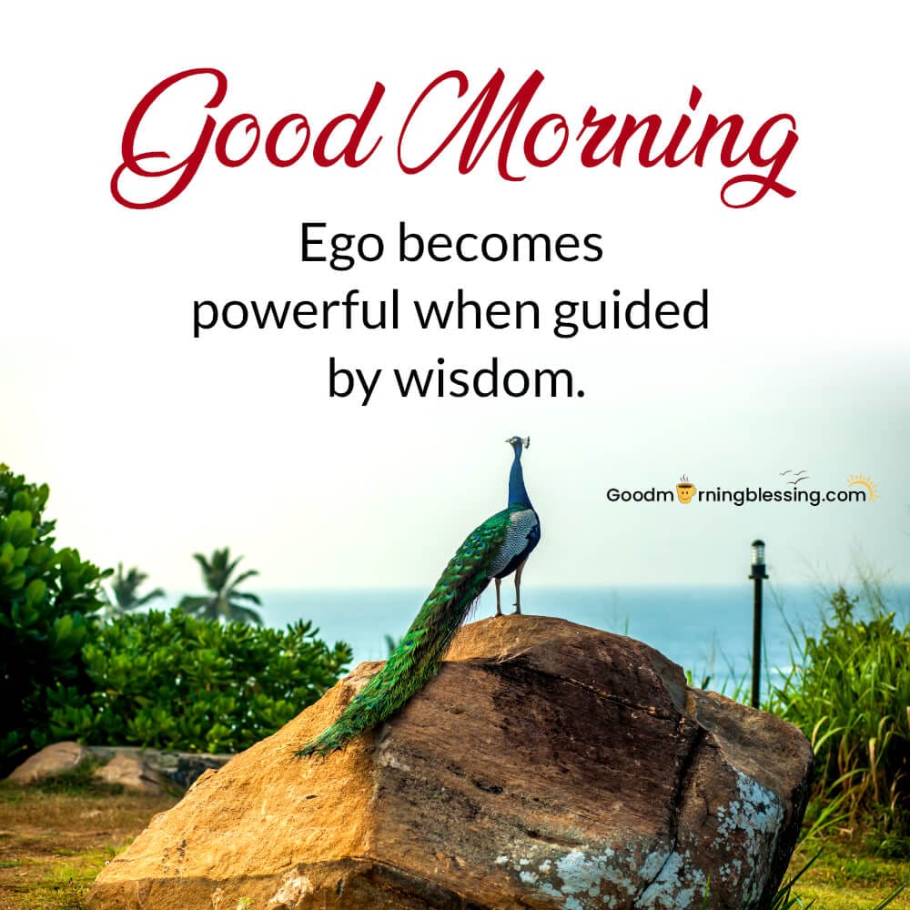 Ego Quotes In English​