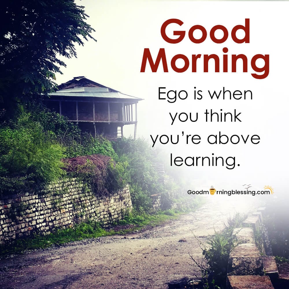 Ego Quotes In Relationship​