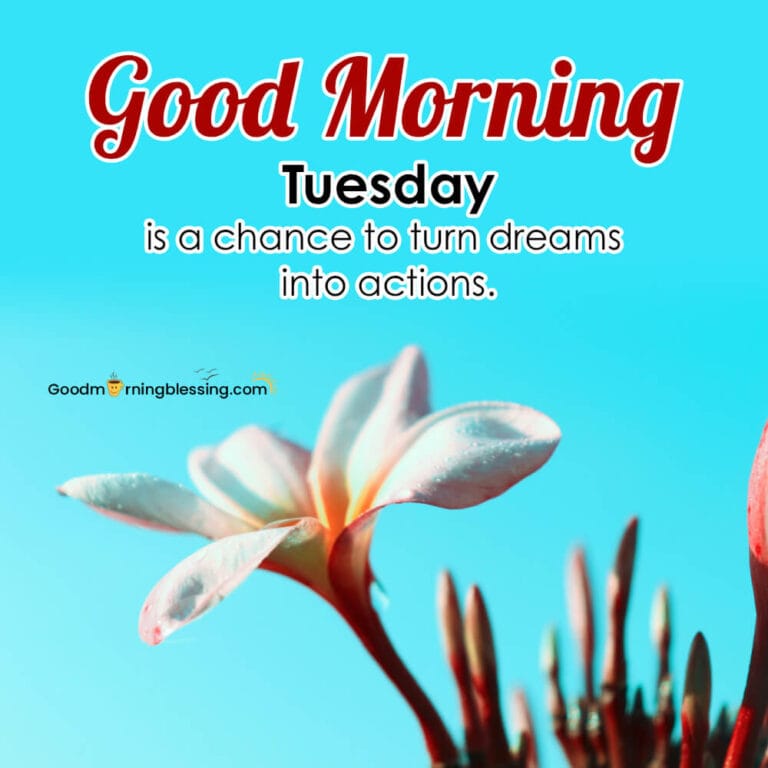 150+ Tuesday Morning Motivation Quotes & Wishes - goodmorningblessing