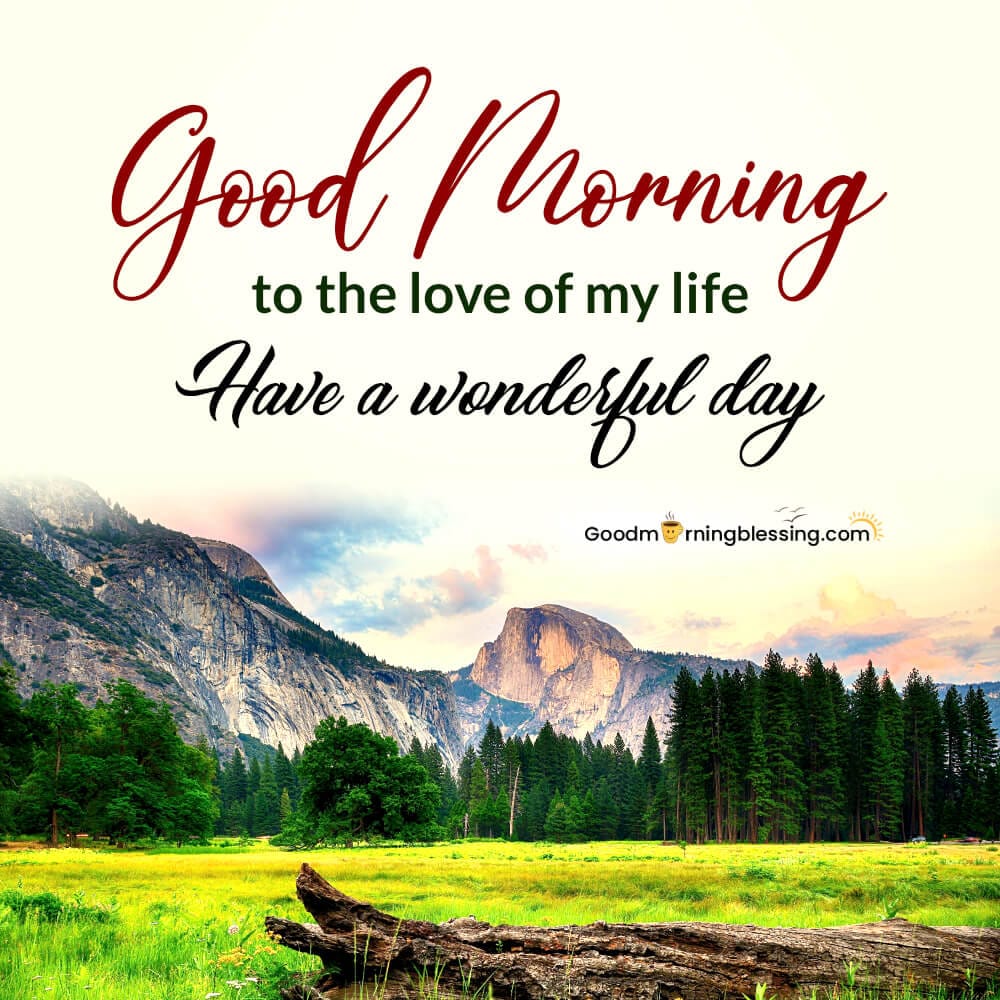 Good Morning 4k Hd Images Nature​