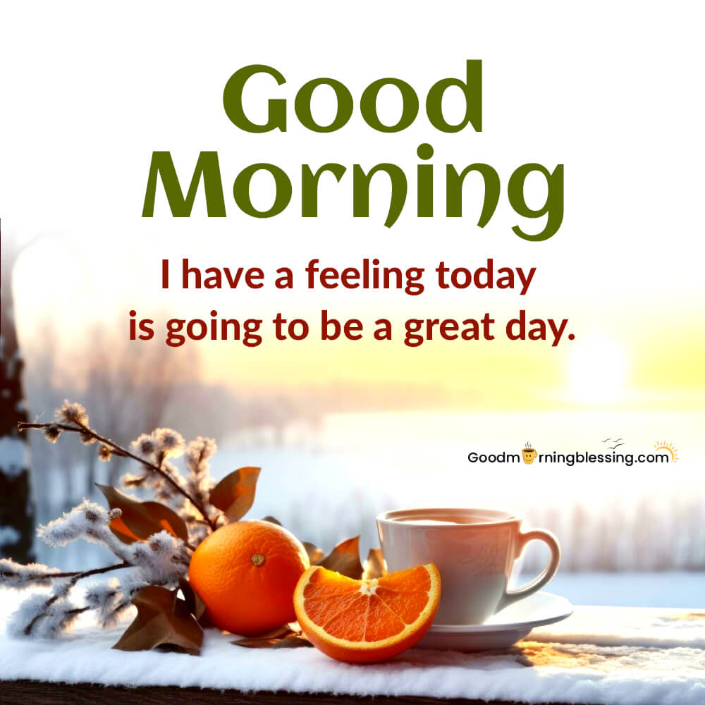 Good Morning America Cozy