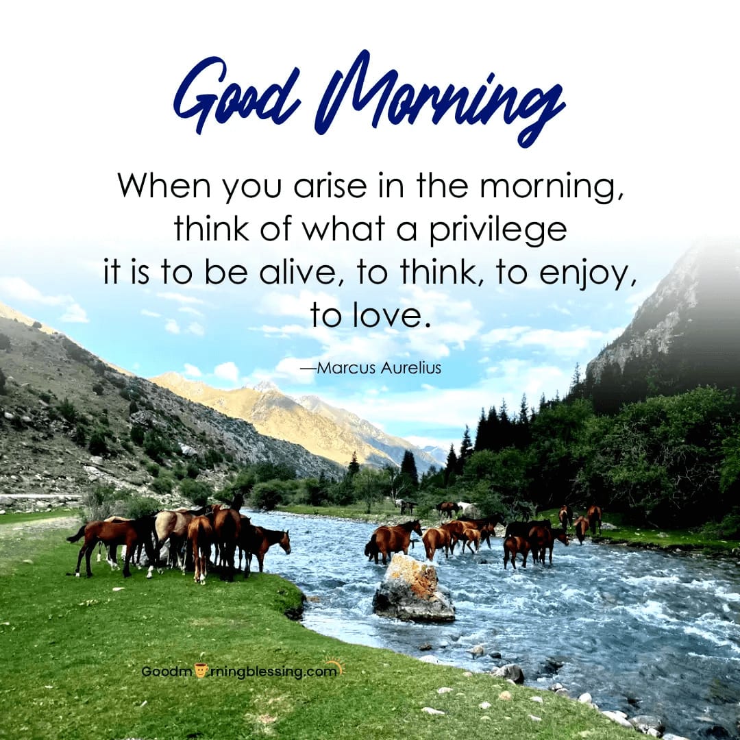 Good Morning Blessings For A New Day