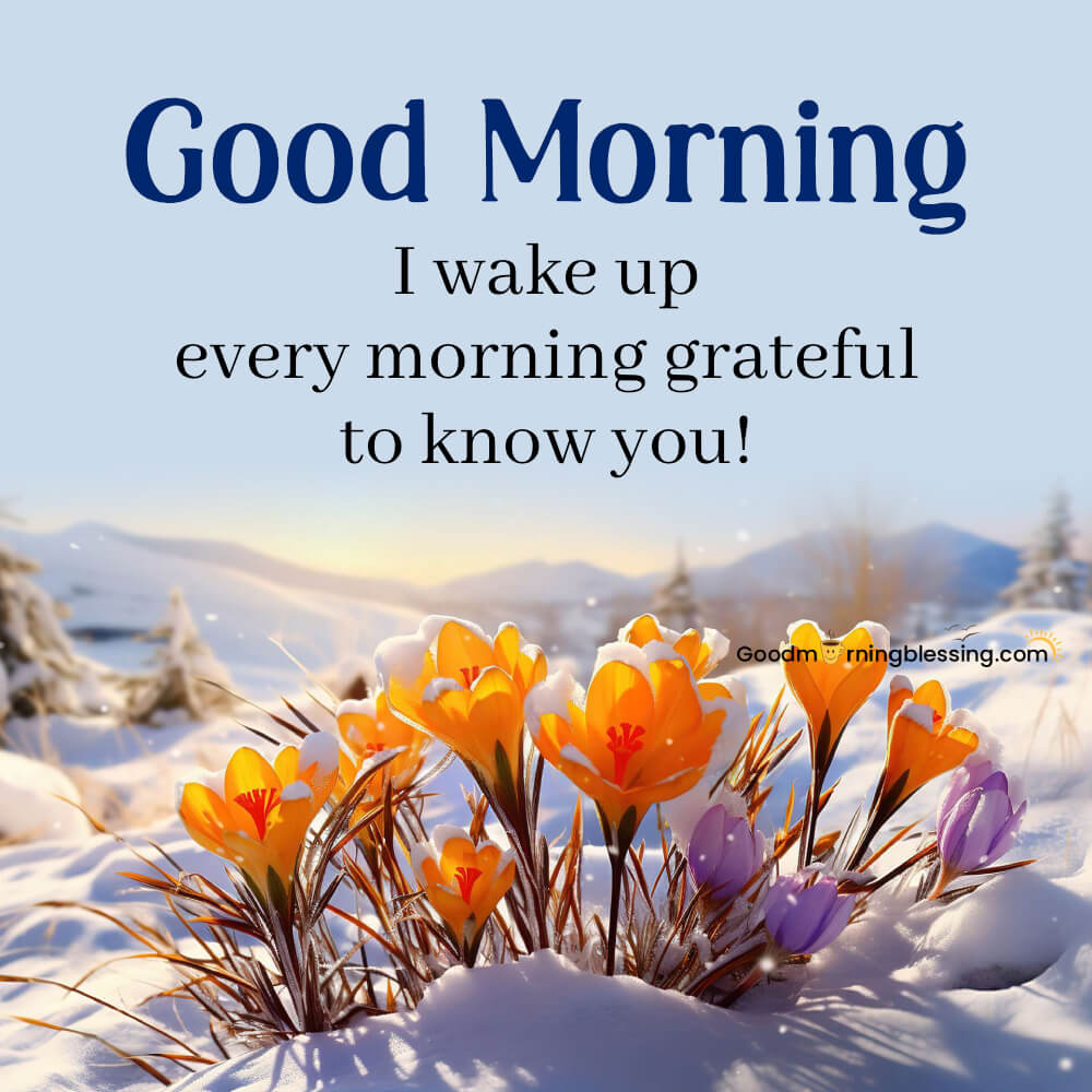 Good Morning Cozy Images​