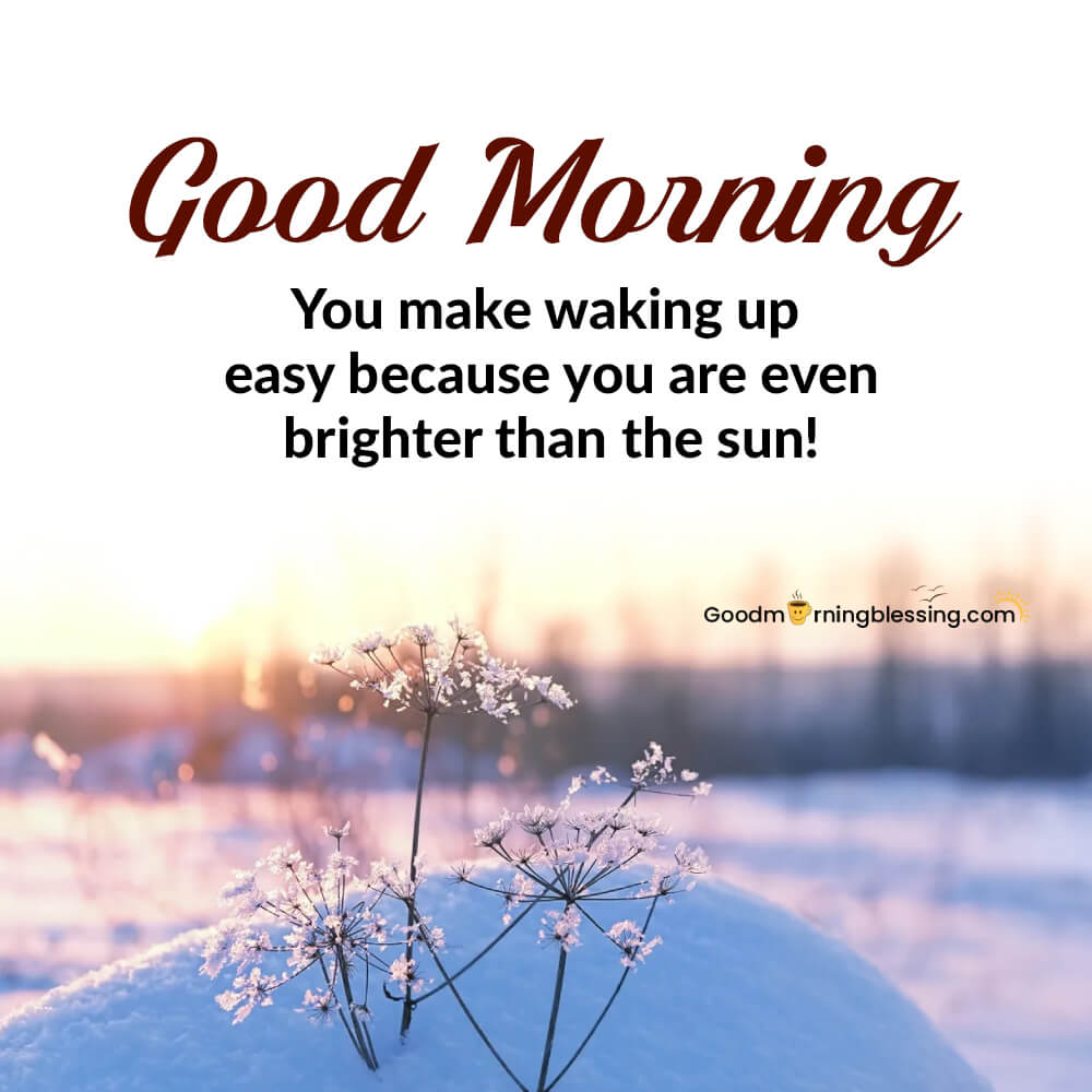 Good Morning Cozy​