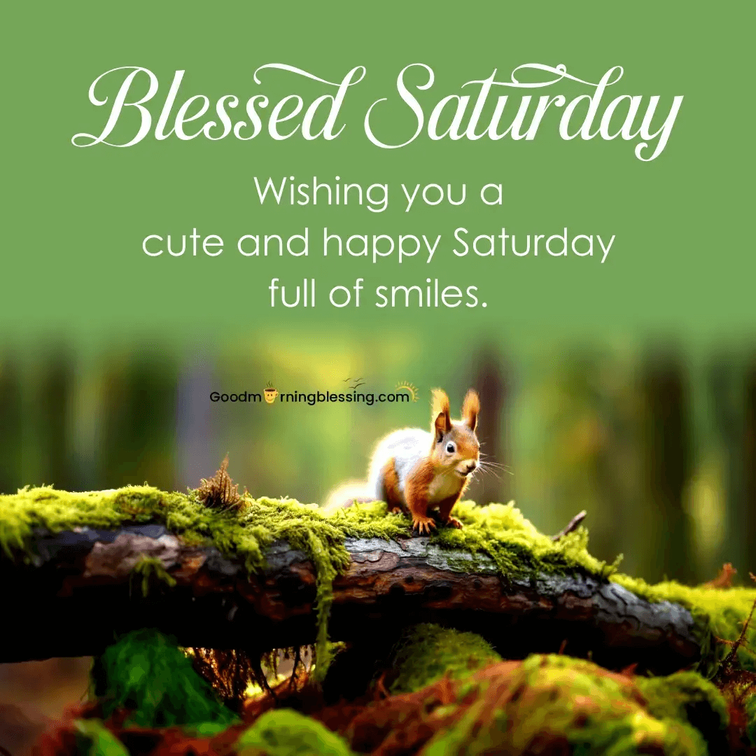 Good Morning Have A Blessed Saturday​