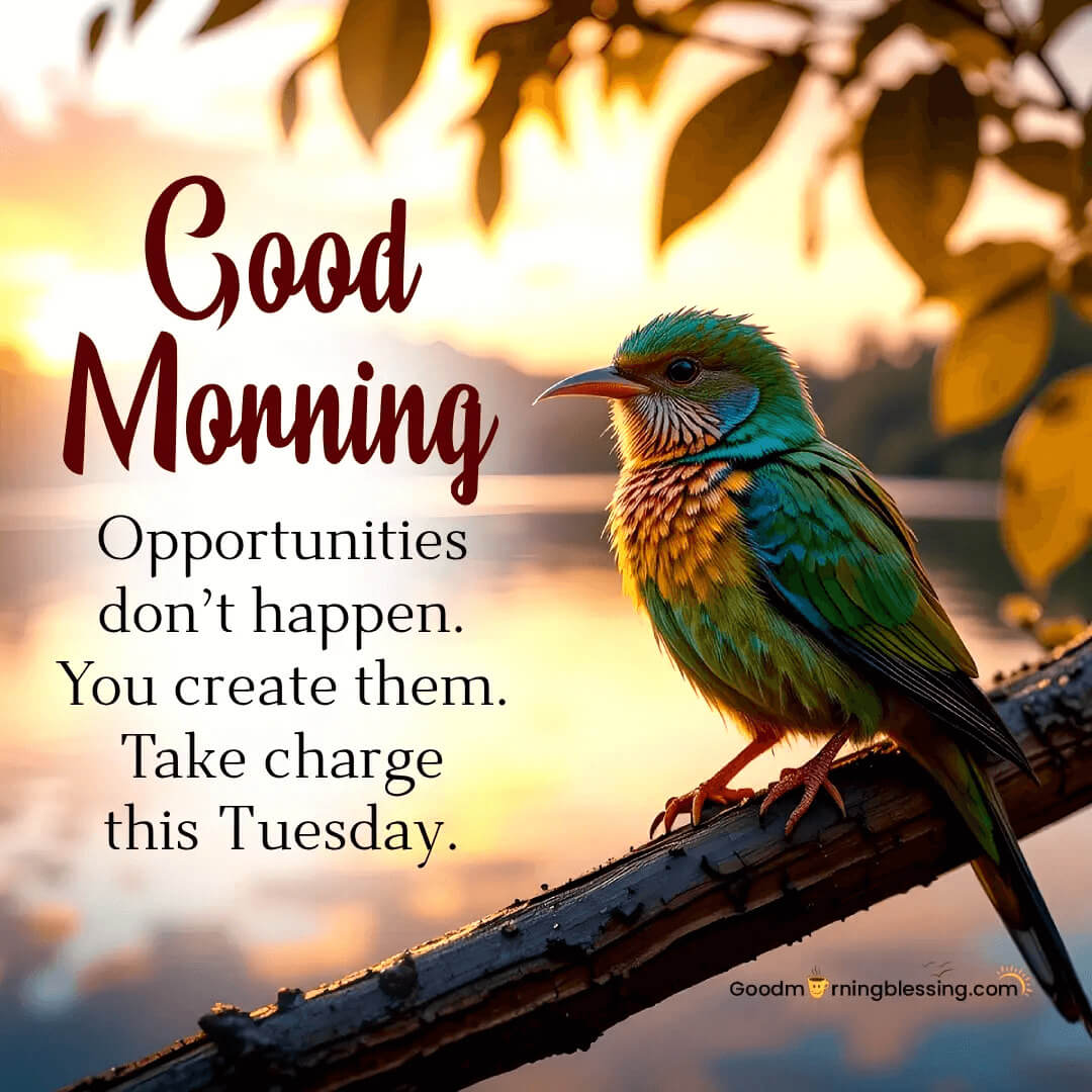 Good Morning On Tuesday