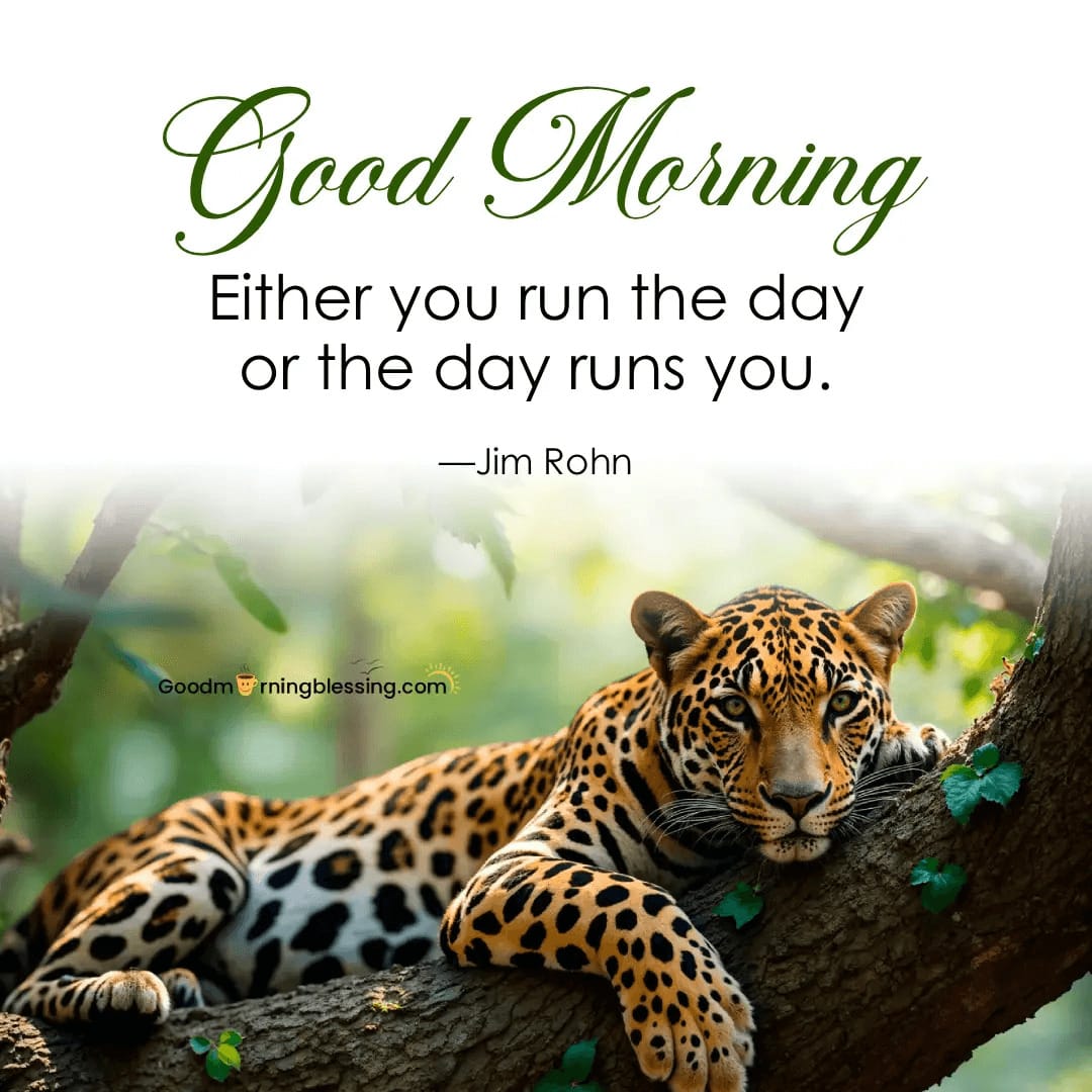 Good Morning Quotes For New Day​