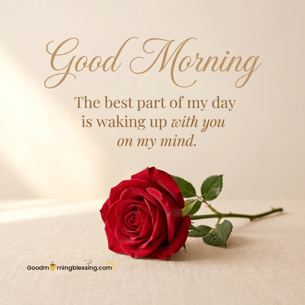 Good Morning Rose Flower Image
