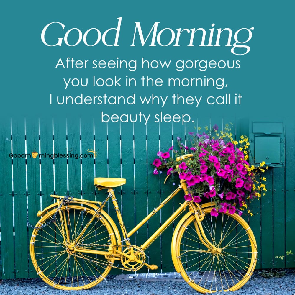 Good Morning With Nature Images 