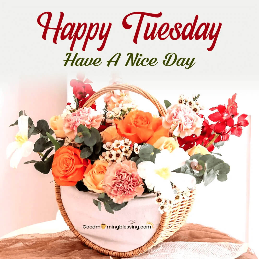 Happy Tuesday Good Morning