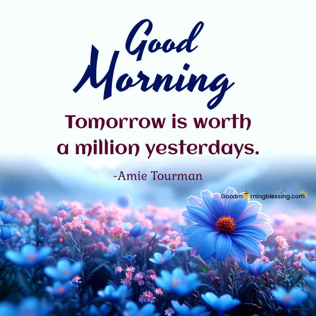 Inspiration Quote Of The Day