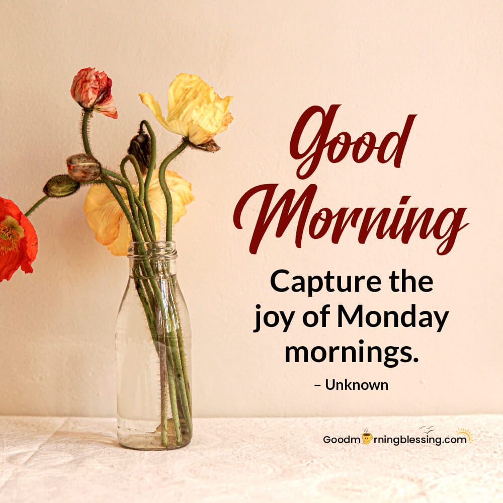 Monday Short Quotes​