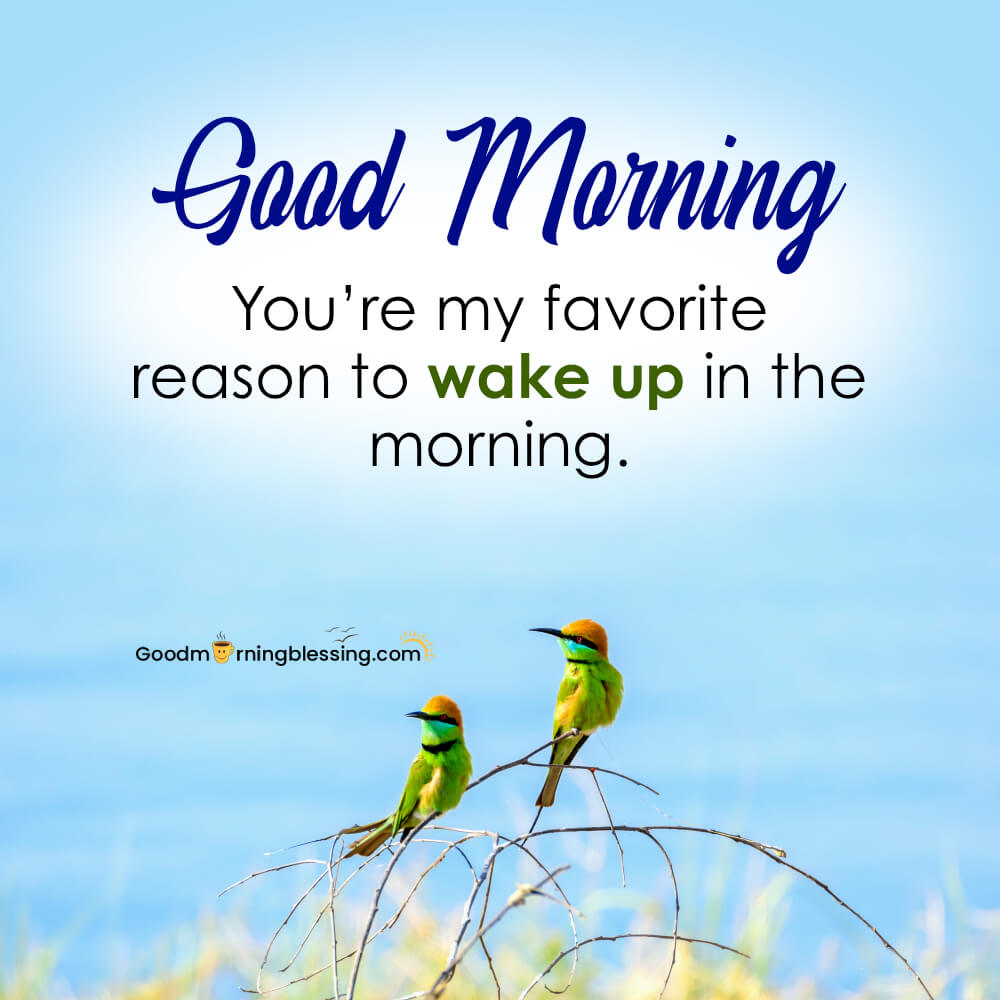 Morning Blessings For Friends