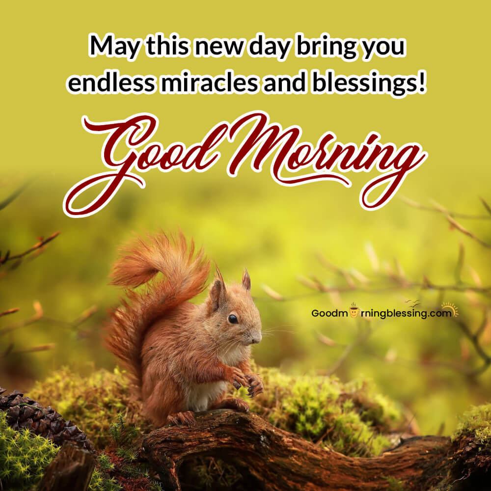 Nature Good Morning Images Hd 