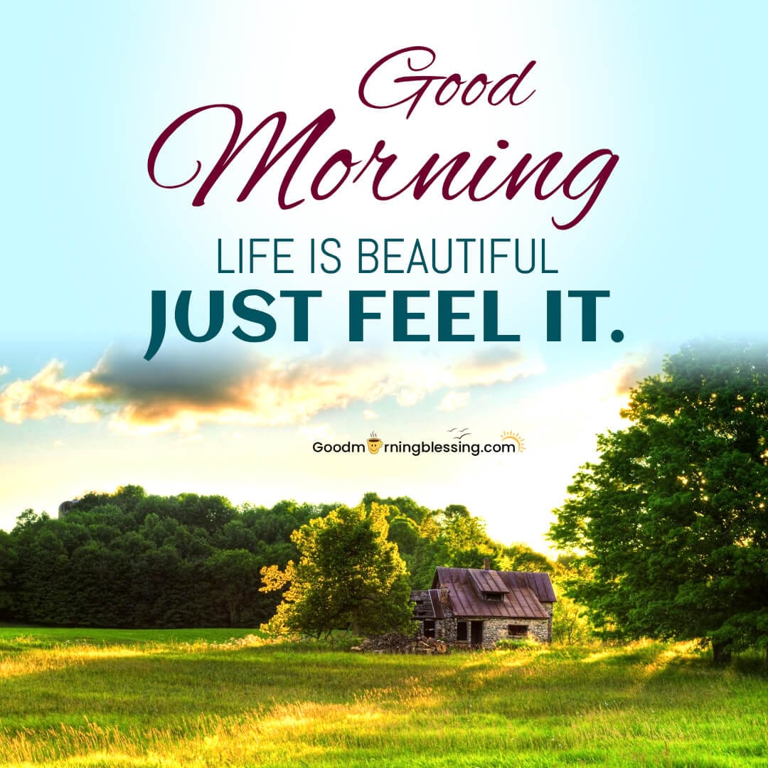 Positive Quote Of The Day For Work