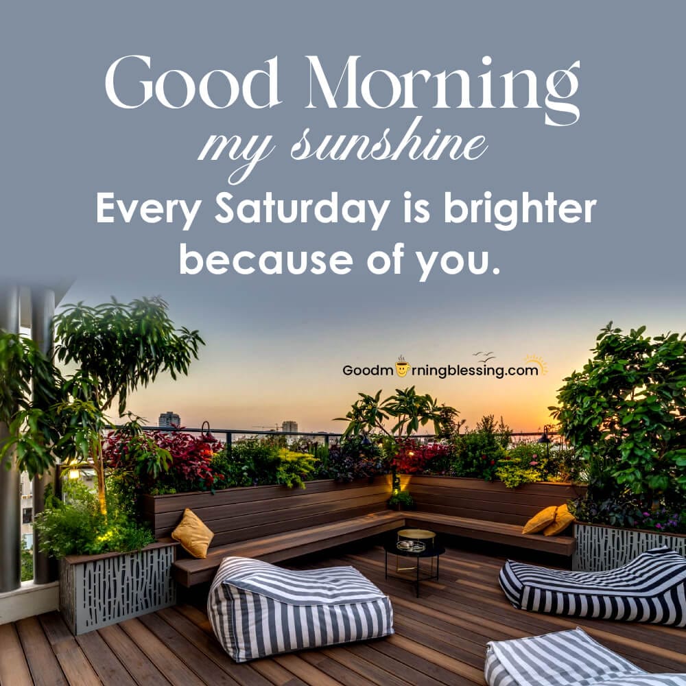 Happy Saturday Everyone