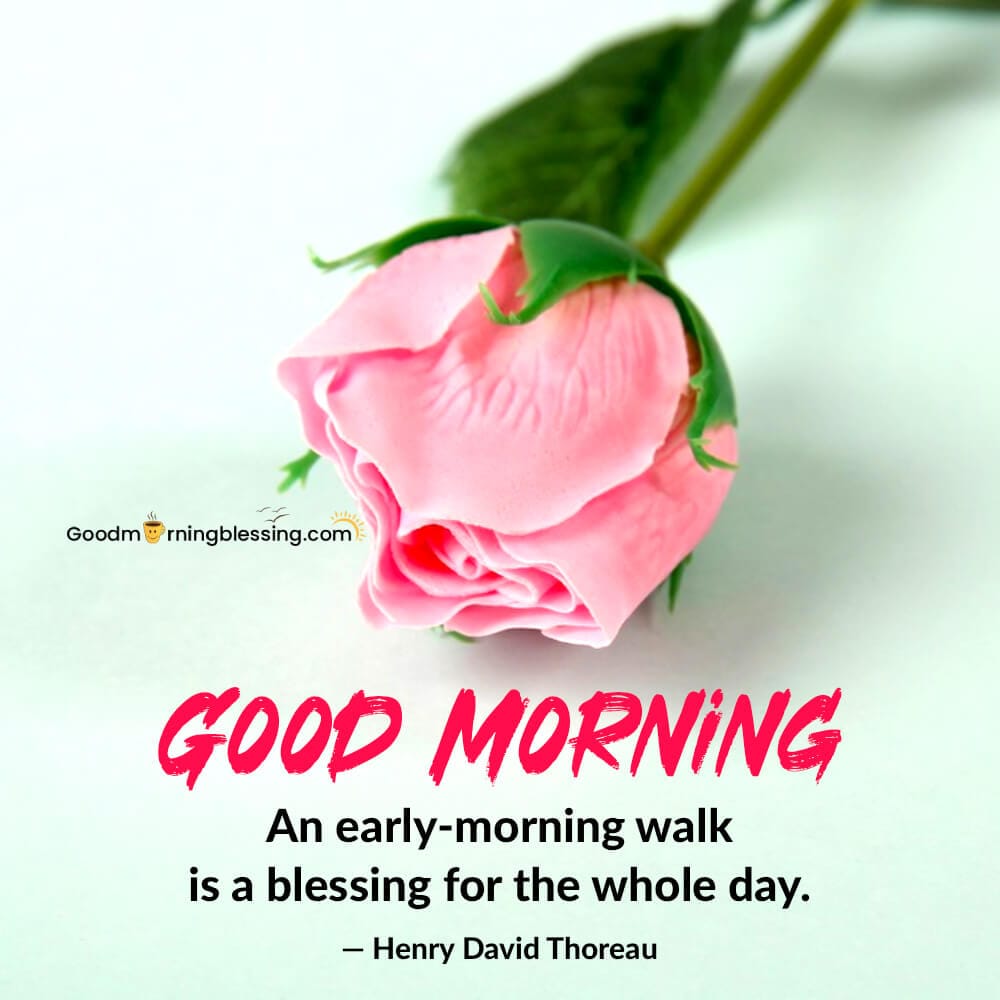 Heart Touching Good Morning Messages For Everyone Image