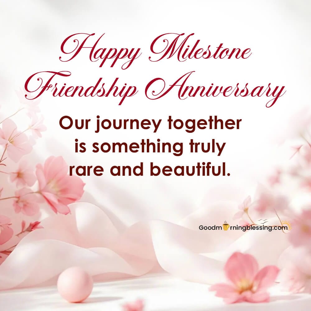 Friendship Anniversary Wishes For Best Friend