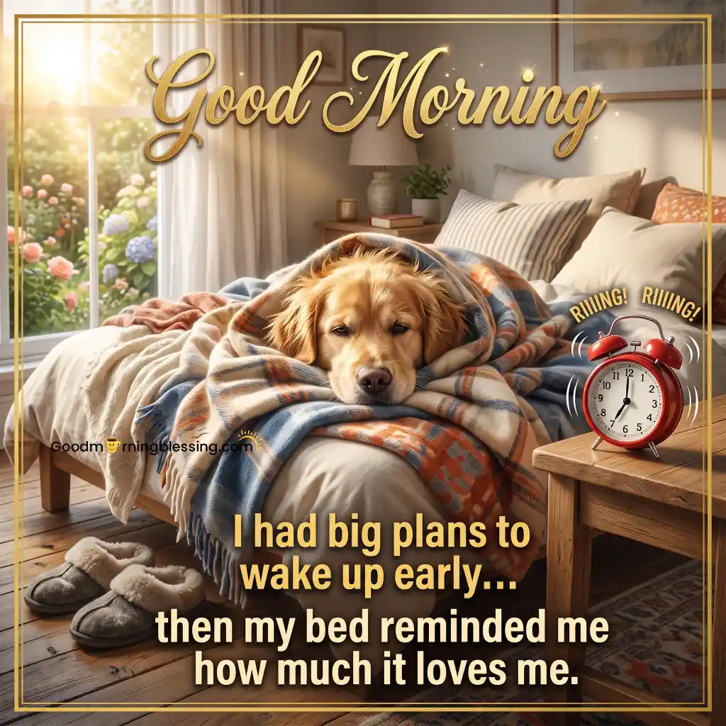 Powerful Short Good Morning Funny Quotes