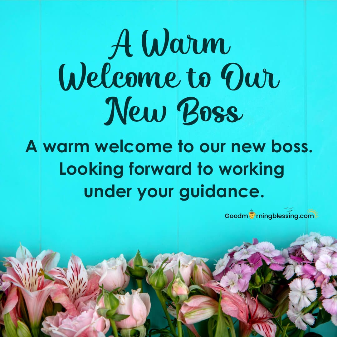 Welcome Messages For New Boss In Whatsapp Group