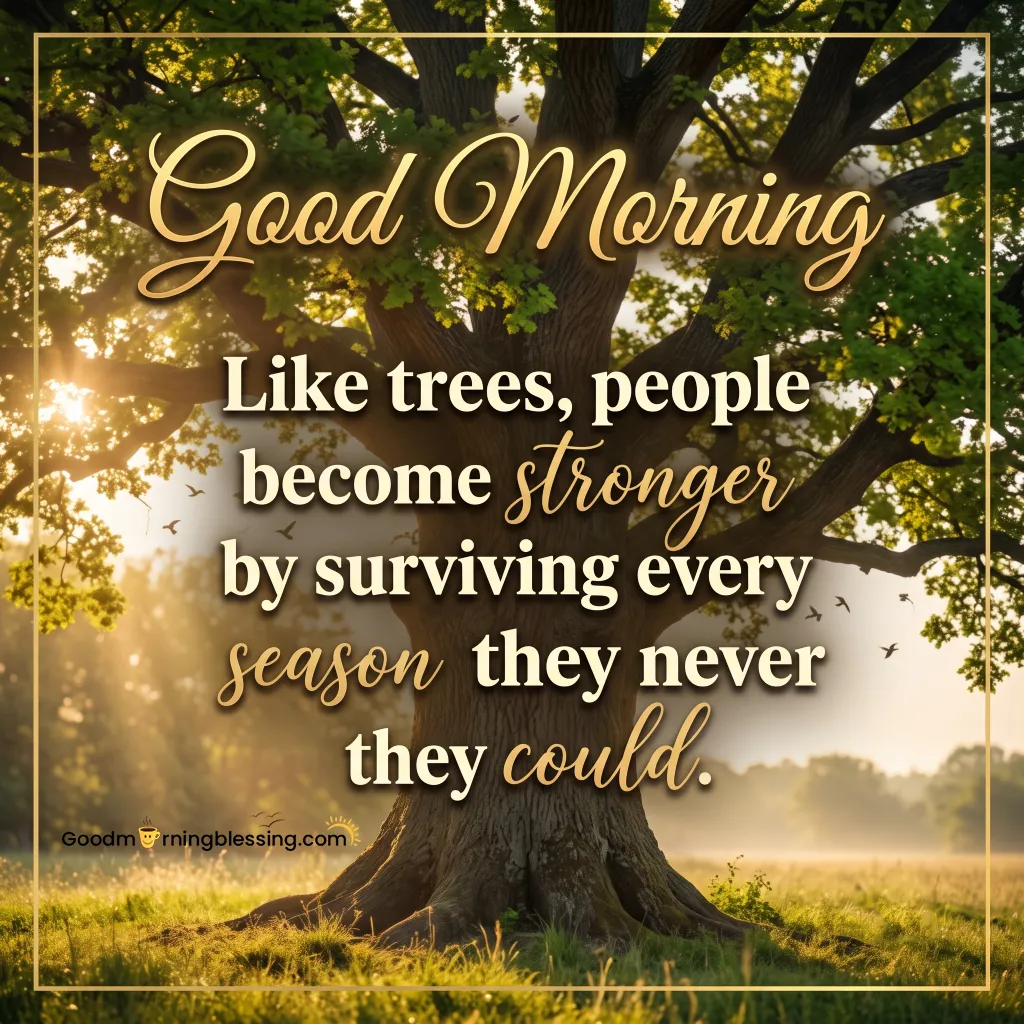 Good Morning Images New