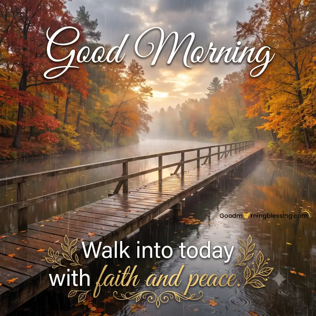Nature Beautiful Rainy Good Morning