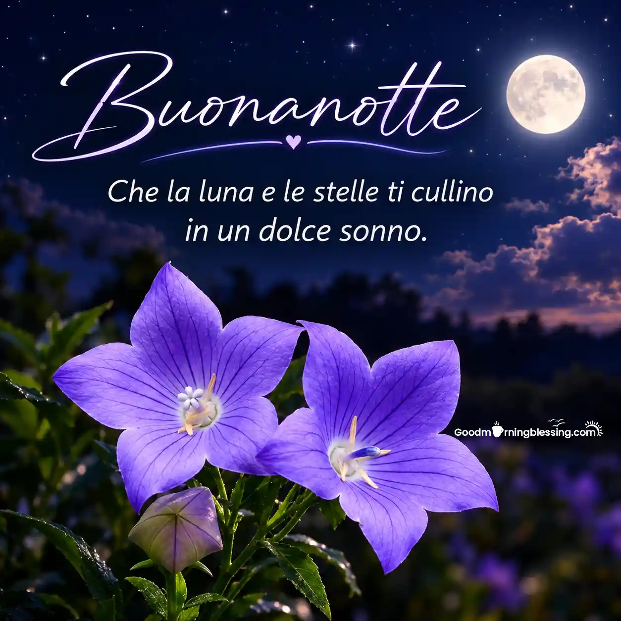 Good Night Italian Lovely Picture
