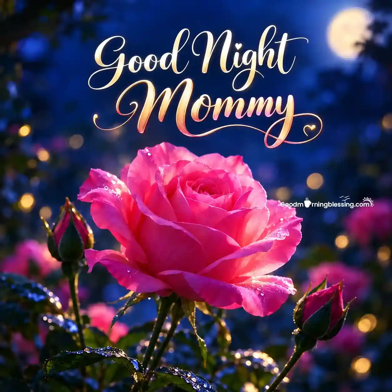 Good Night Mom With Moon And Pink Rose Lovely Picture