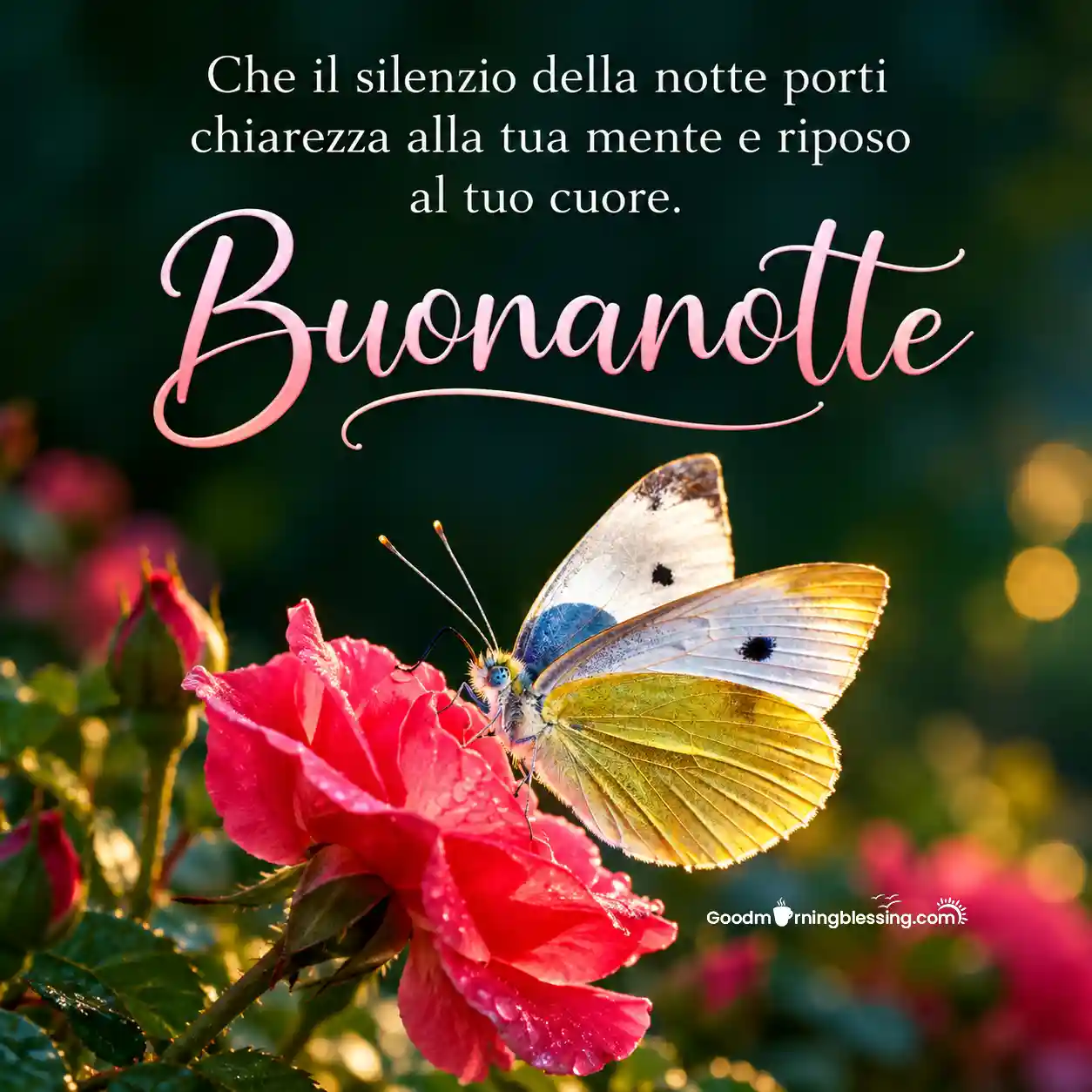 Good Night Wonderful Italian Colorful Flowers