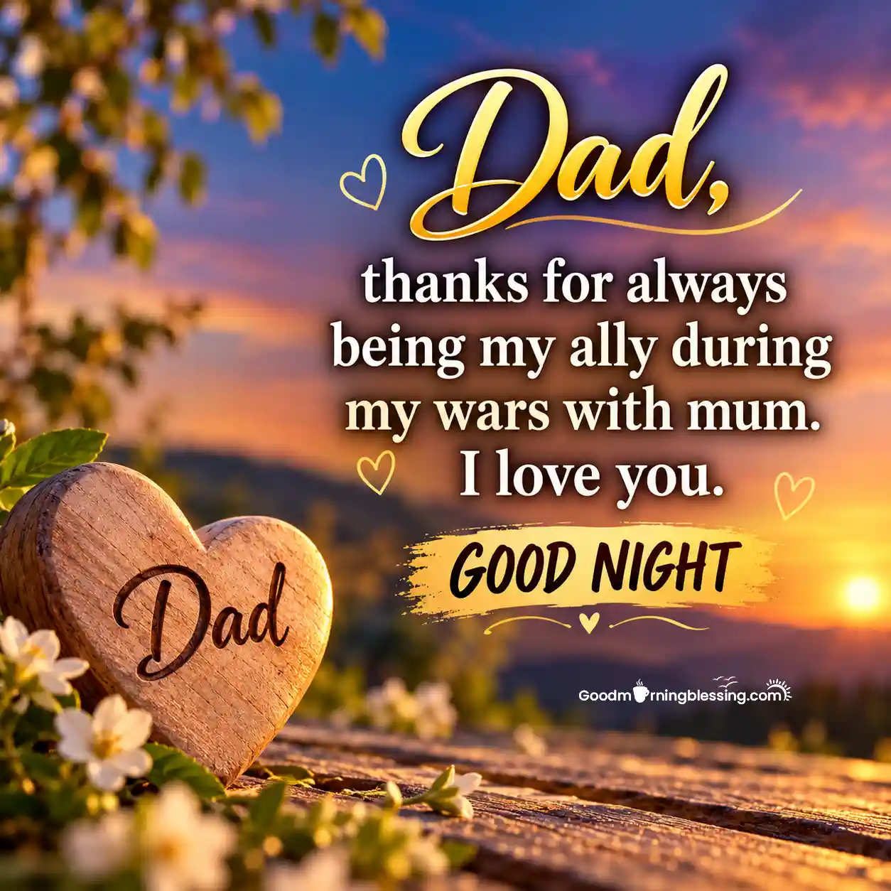 Good Night Dad Images From Daughter